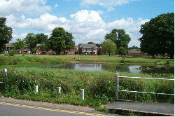 Shenfield Common recent photo