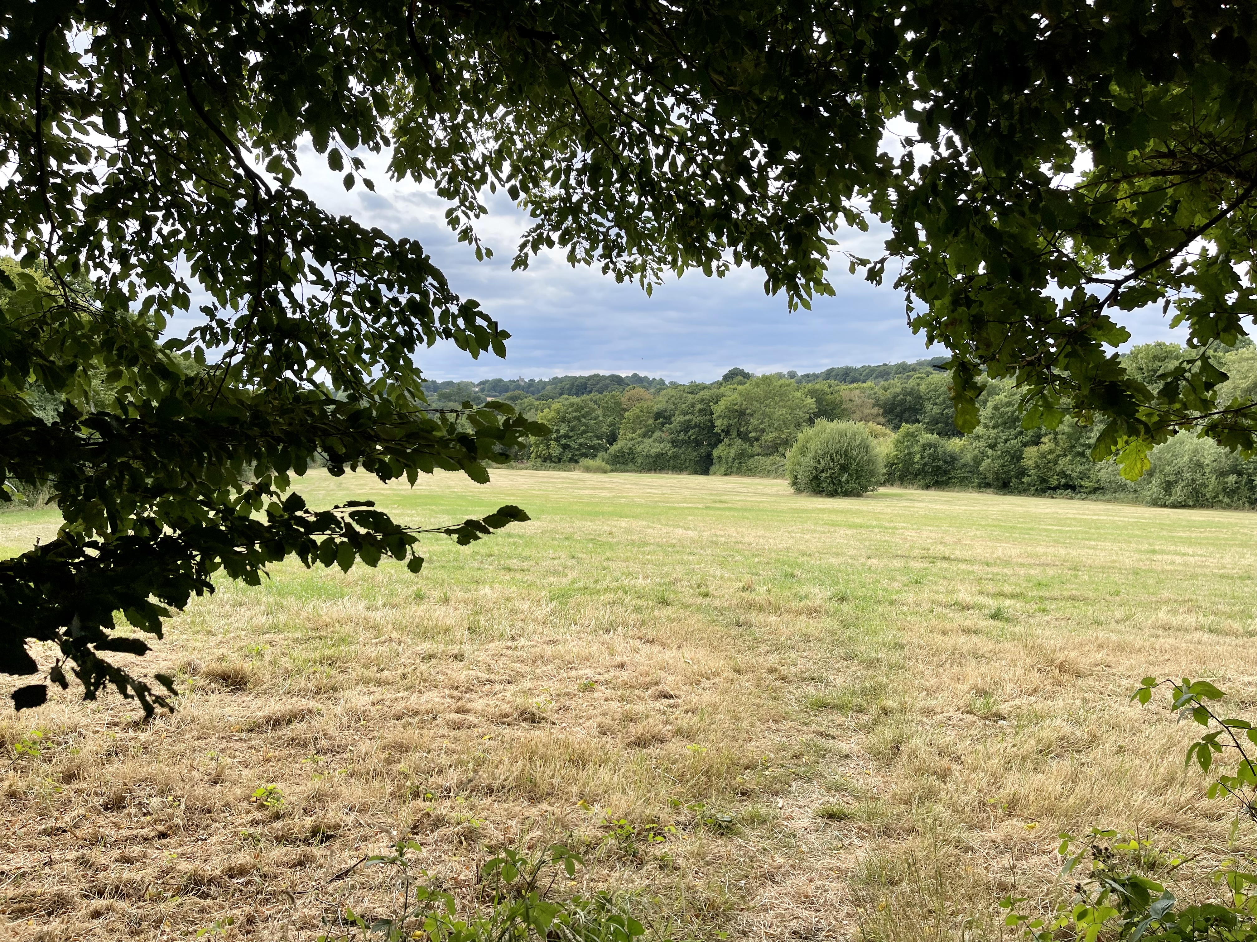 St Faiths Country Park