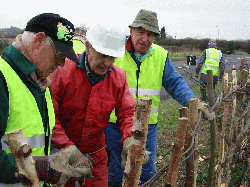 Countryside Management Volunteers