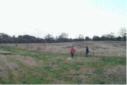 St. Faith's Country Park