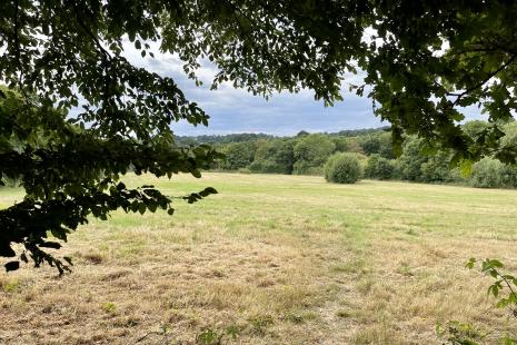 St Faiths Country Park